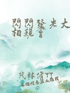 闪闪发光大团圆相亲会