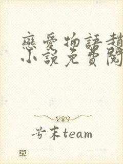 恋爱物语赵菲菲小说免费阅读全文