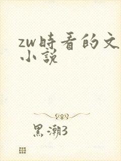 zw时看的文案小说