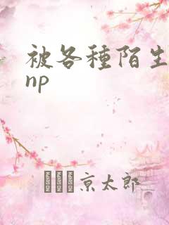 被各种陌生人 np