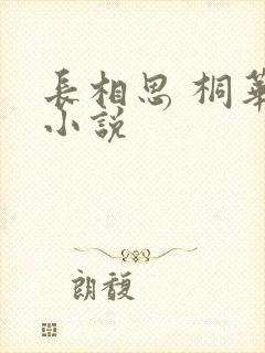 长相思 桐华 小说