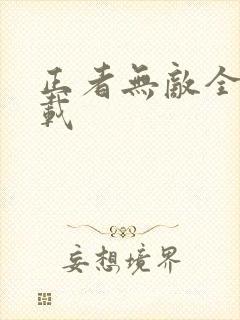 正者无敌全集下载