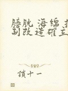 膀胱 海绵 控制改造确立m