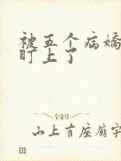 被五个病娇大佬盯上了