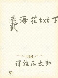 藏海花txt下载