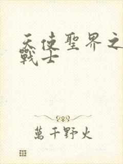 天使圣界之神之战士