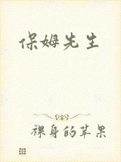 保姆先生