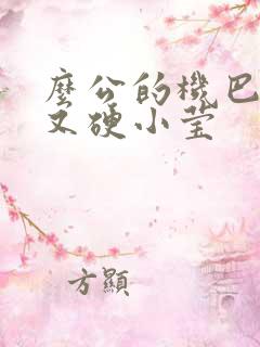 么公的机巴又粗又硬小莹