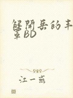 解开岳的丰满奶罩BD