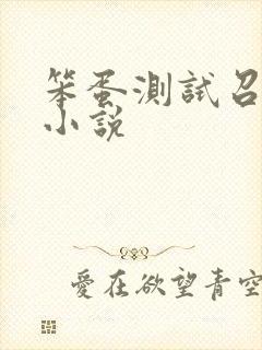 笨蛋测试召唤兽小说