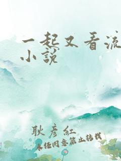 一起又看流星雨小说