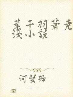 叶千羽萧尧白清浅小说