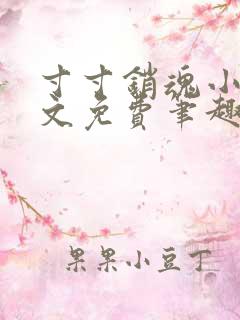 寸寸销魂小说全文免费笔趣阁