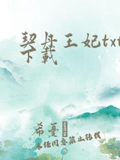 契丹王妃txt下载