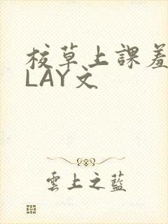 校草上课羞耻PLAY文