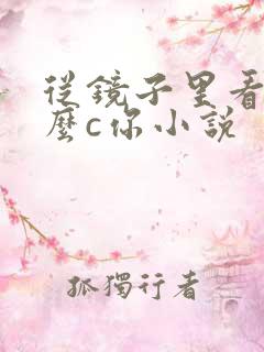 从镜子里看我怎么c你小说