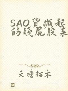 SAO货撅起你的贱屁股来