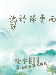 沈于归费南城小说