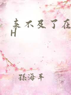 来不及了在车CH