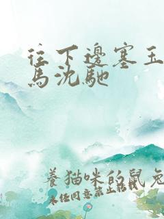 往下边塞玉器骑马沈驰