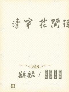 清穿 花开从容