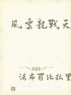 风云龙战天下