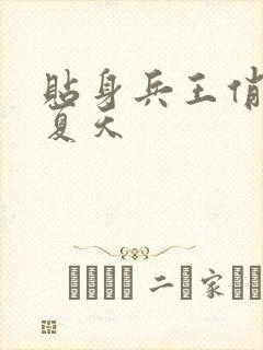 贴身兵王俏总裁夏天