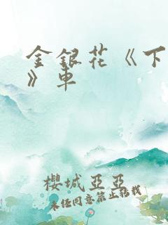 金银花《下厨房》车