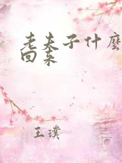 老夫子什么时候回来