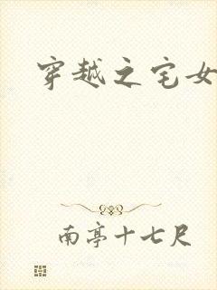 穿越之宅女夫人