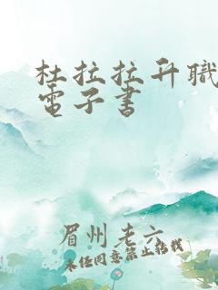 杜拉拉升职记 电子书