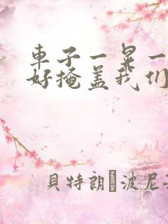 车子一晃一晃正好掩盖我们什么