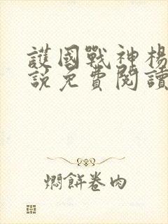 护国战神杨风小说免费阅读