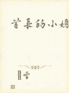 首长的小媳妇