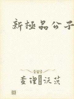 新极品公子