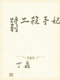 特工杀手妃来驾到