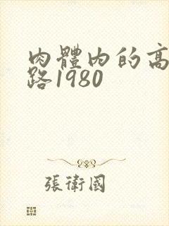 肉体内的高速公路1980