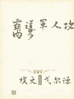 霸道军人攻现代肉多