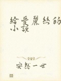 给爱丽丝的奇迹小说