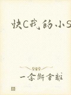 快C我的小SB