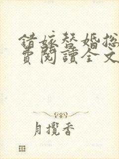 错嫁替婚总裁免费阅读全文