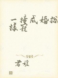 一撞成婚总裁花样宠