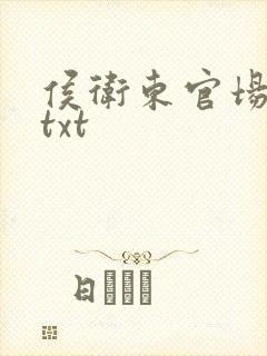 侯卫东官场笔记txt