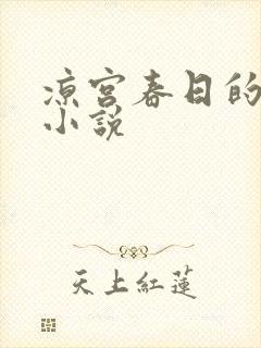 凉宫春日的忧郁小说