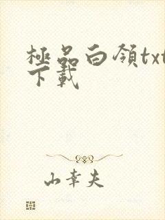 极品白领txt下载