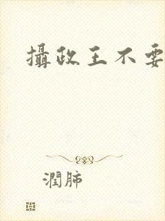 摄政王不要