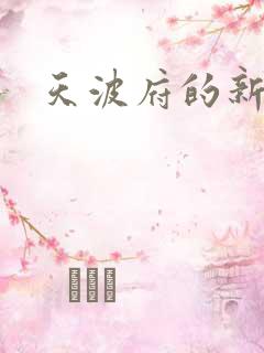 天波府的新姑爷