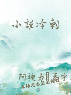 小说冷刺