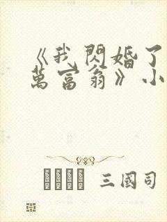 《我闪婚了个亿万富翁》小说