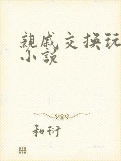 亲戚交换玩美妇小说